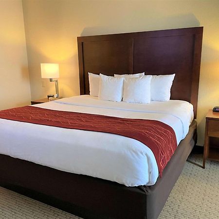 Comfort Inn & Suites Rogersville Экстерьер фото