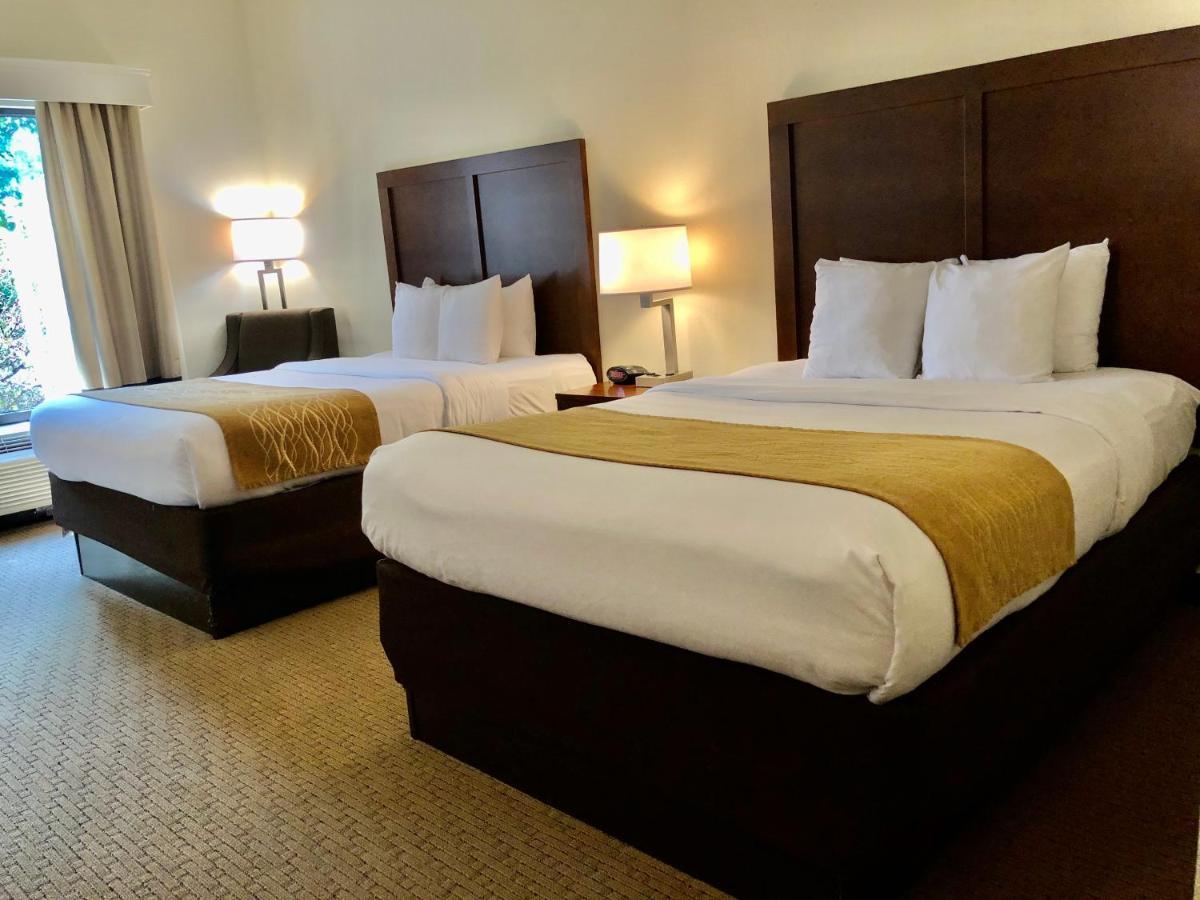 Comfort Inn & Suites Rogersville Экстерьер фото