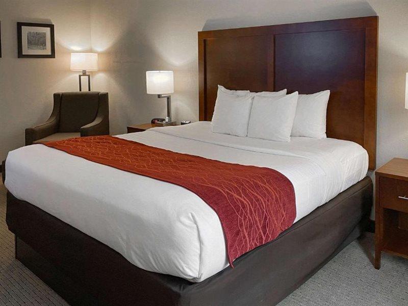 Comfort Inn & Suites Rogersville Экстерьер фото