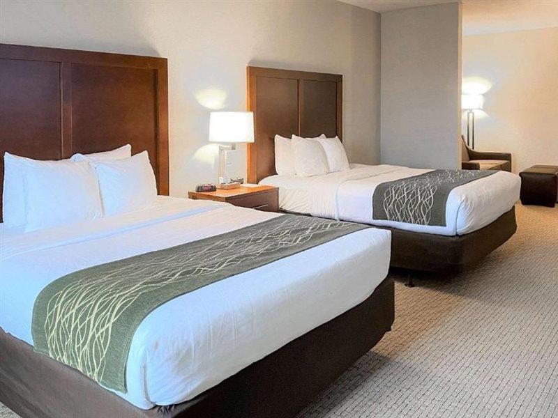 Comfort Inn & Suites Rogersville Экстерьер фото
