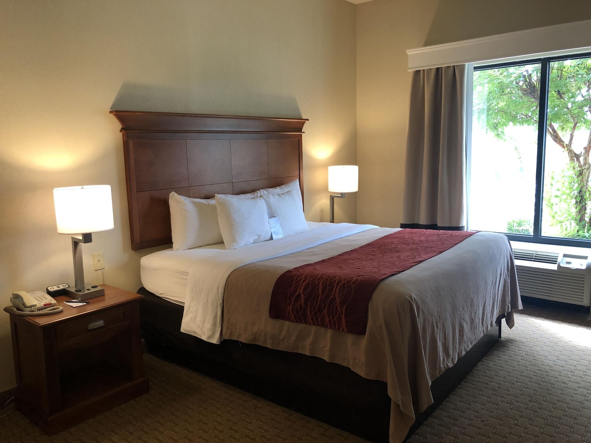 Comfort Inn & Suites Rogersville Экстерьер фото