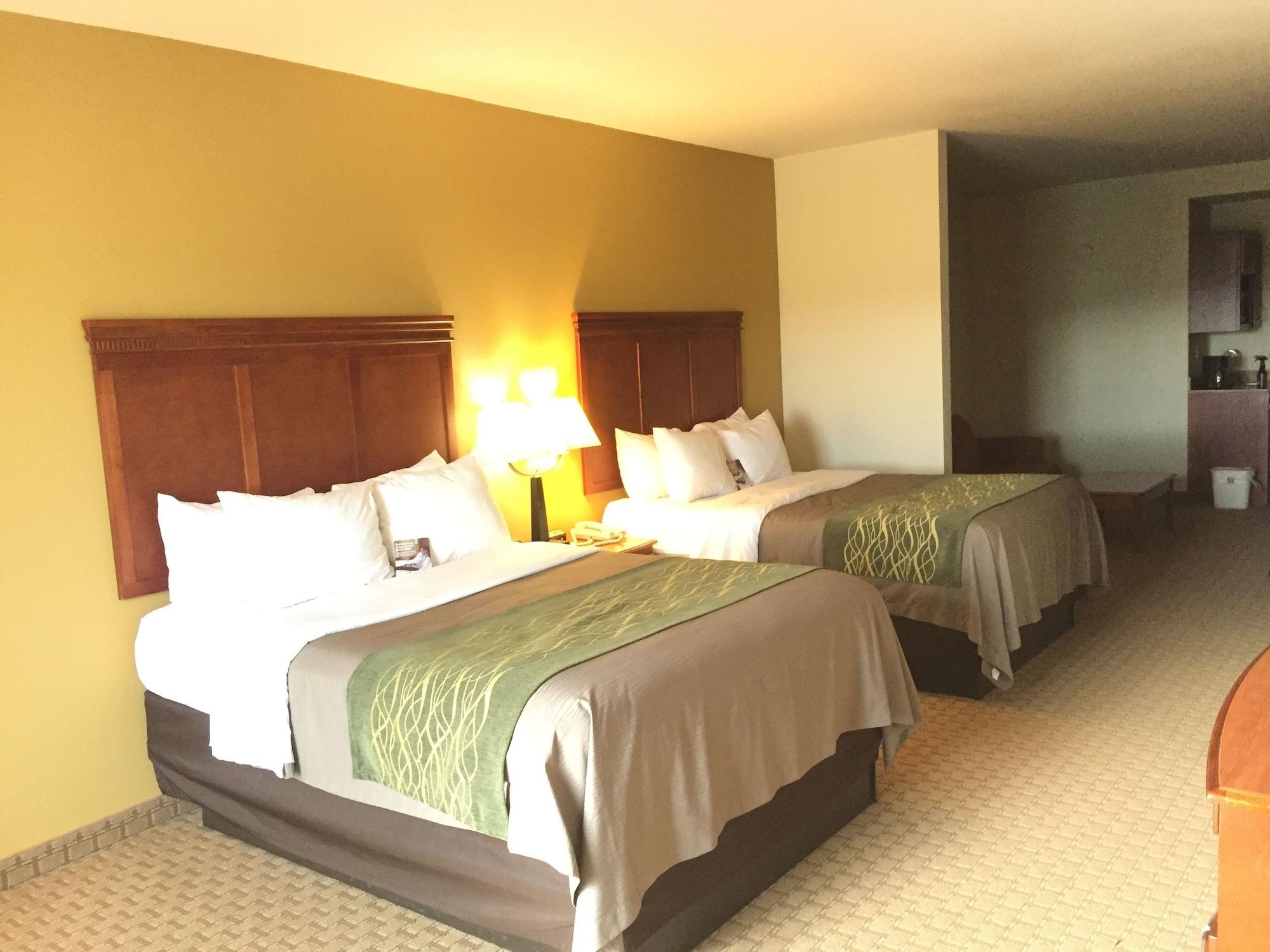 Comfort Inn & Suites Rogersville Экстерьер фото