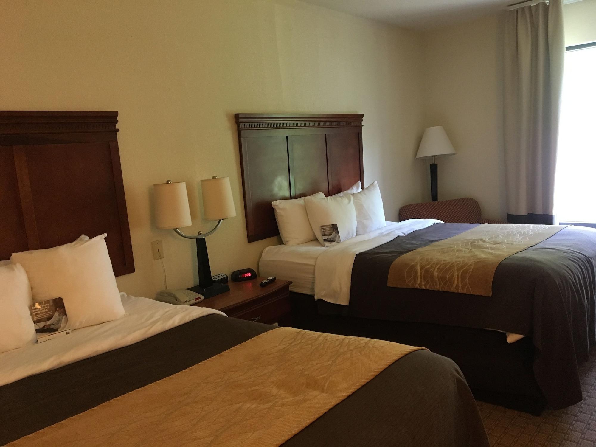 Comfort Inn & Suites Rogersville Экстерьер фото