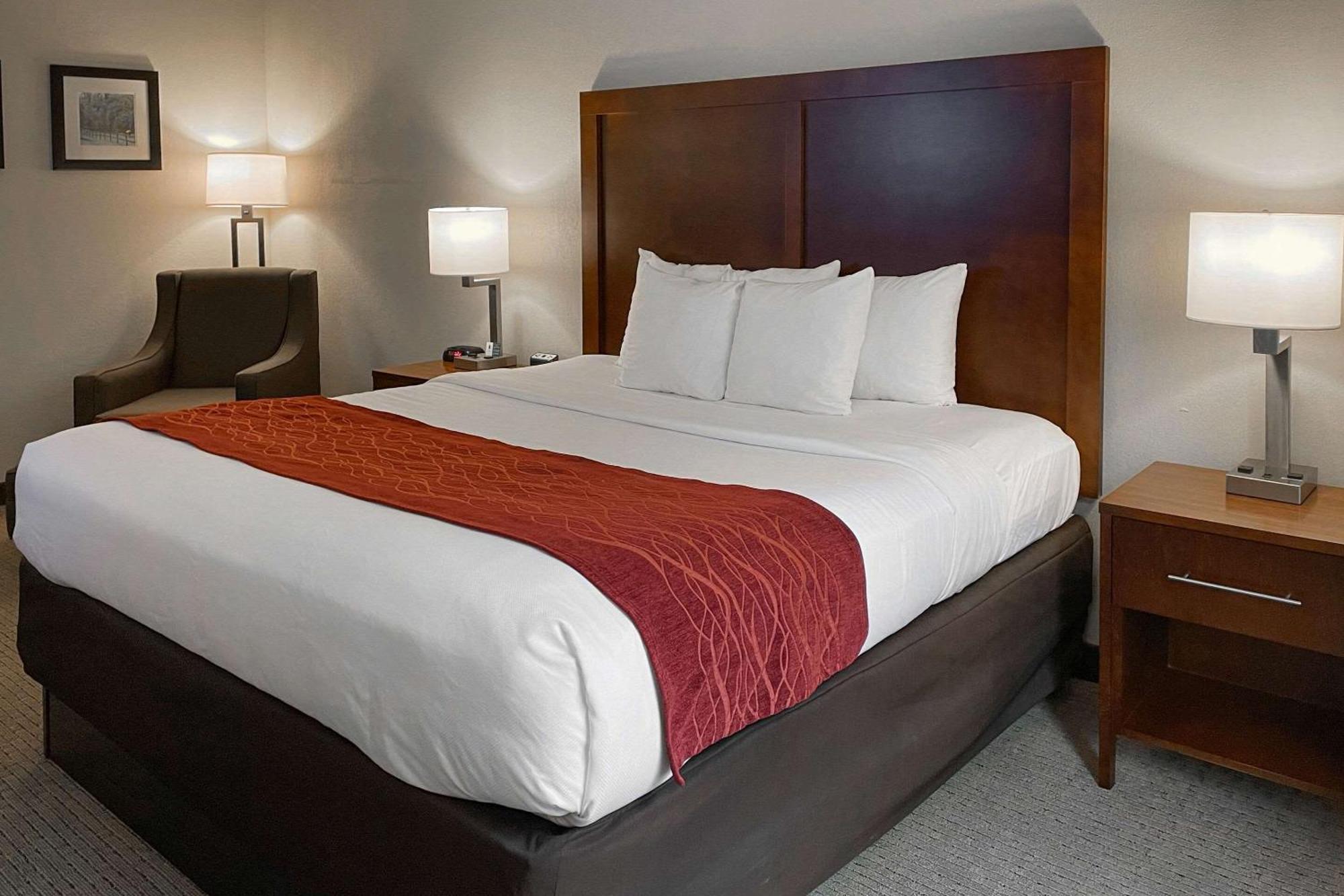 Comfort Inn & Suites Rogersville Экстерьер фото